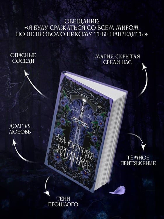 Дополнительное изображение книги «На острие клинка»