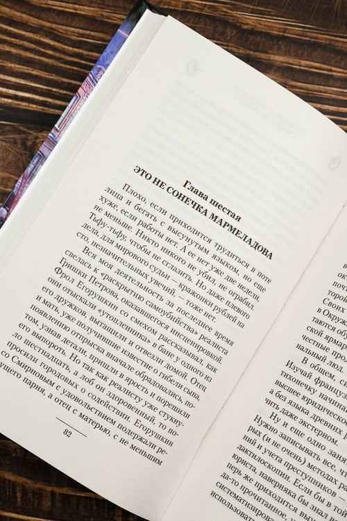 Дополнительное изображение книги «Господин следователь. Смерть на обочине»
