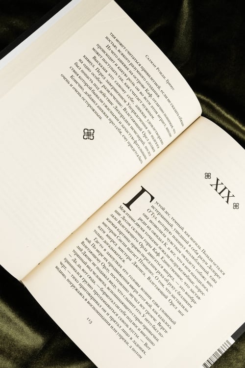 Дополнительное изображение книги «Гримус»