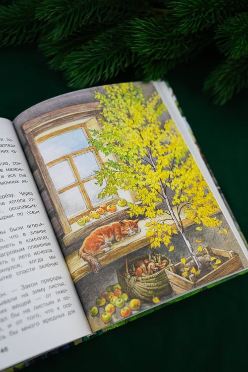Дополнительное изображение книги «Корзина с еловыми шишками»