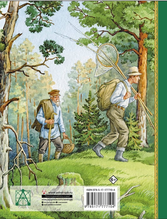 Дополнительное изображение книги «Корзина с еловыми шишками»