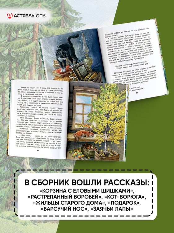 Дополнительное изображение книги «Корзина с еловыми шишками»