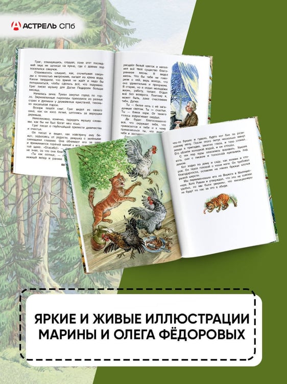 Дополнительное изображение книги «Корзина с еловыми шишками»