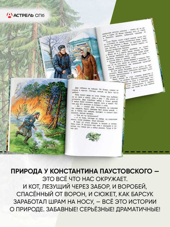 Дополнительное изображение книги «Корзина с еловыми шишками»