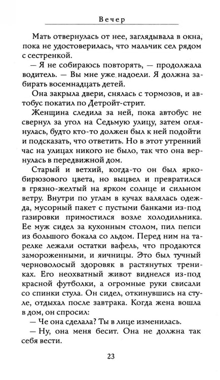 Дополнительное изображение книги «Вечер: роман»