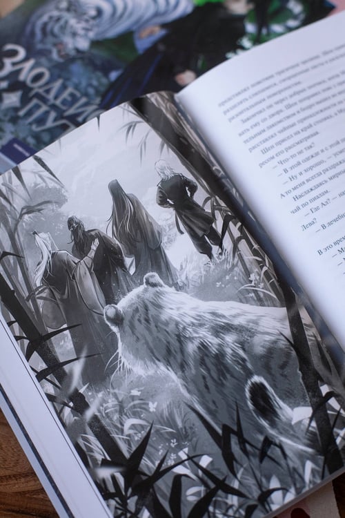 Дополнительное изображение книги «Злодейский путь!.. Том 7»