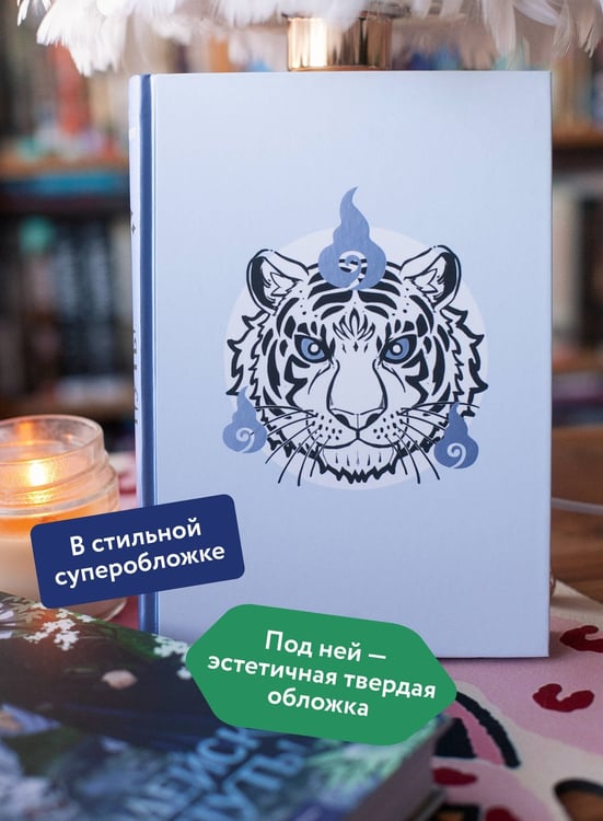 Дополнительное изображение книги «Злодейский путь!.. Том 7»