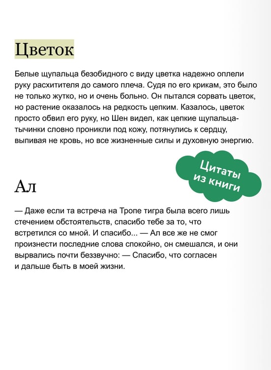Дополнительное изображение книги «Злодейский путь!.. Том 7»