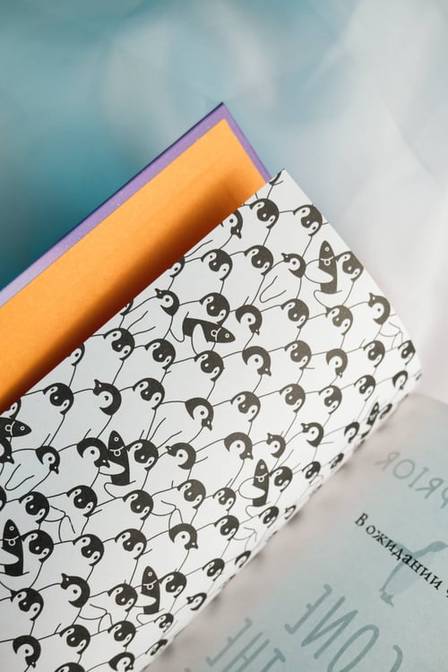 Дополнительное изображение книги «Унесенная пингвинами»