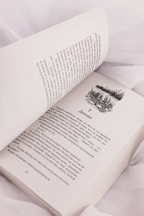 Дополнительное изображение книги «Сражайся ради меня»