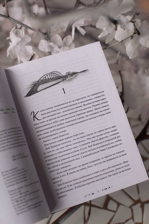 Дополнительное изображение книги «Утерянные воспоминания. Том 1»