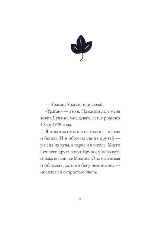 Дополнительное изображение книги «Лучано-Ураган»