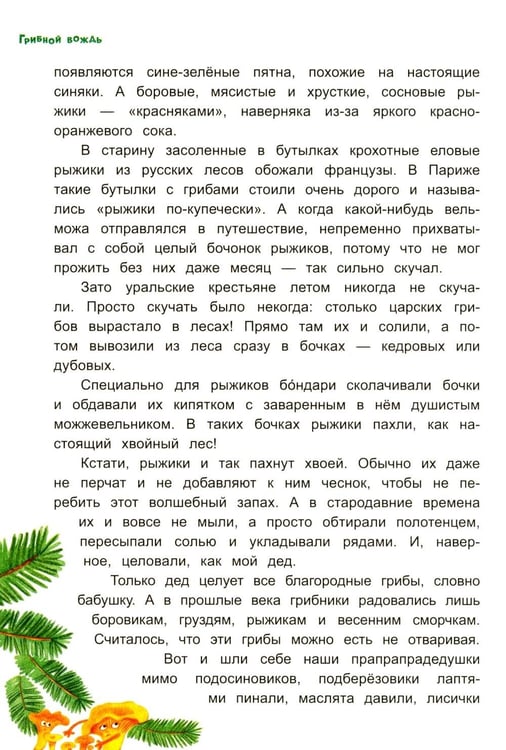 Дополнительное изображение книги «Грибной вождь»