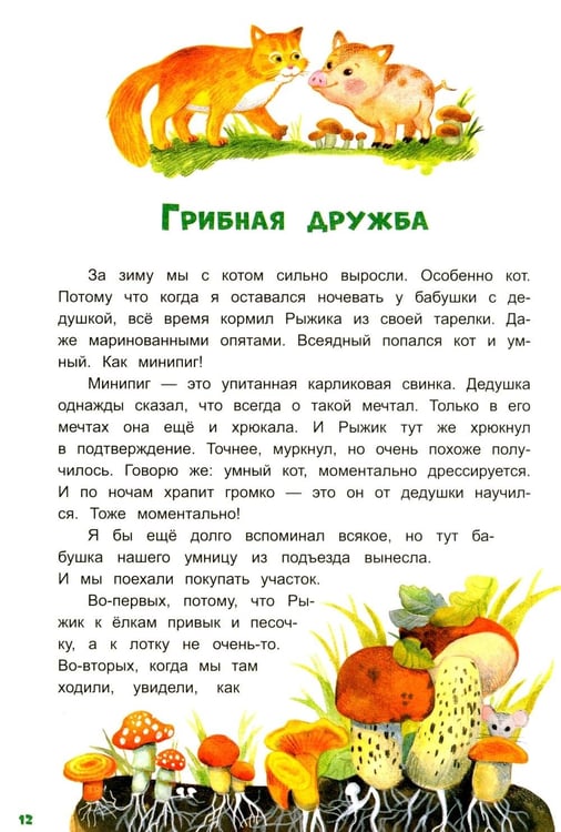 Дополнительное изображение книги «Грибной вождь»