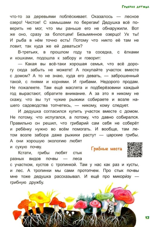 Дополнительное изображение книги «Грибной вождь»