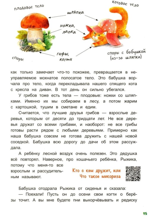 Дополнительное изображение книги «Грибной вождь»
