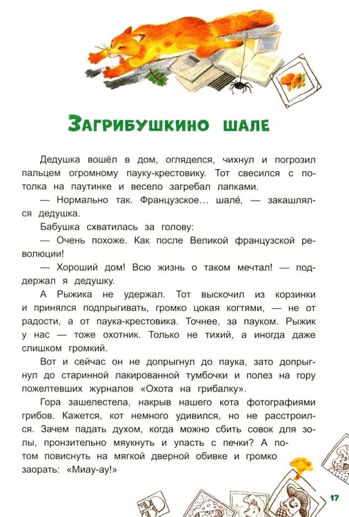 Дополнительное изображение книги «Грибной вождь»