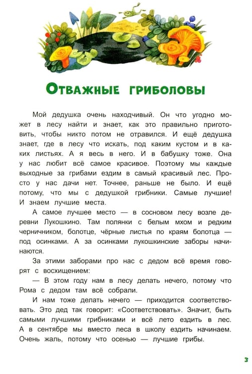 Дополнительное изображение книги «Грибной вождь»