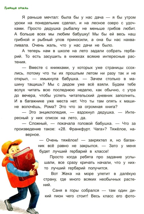 Дополнительное изображение книги «Грибной вождь»