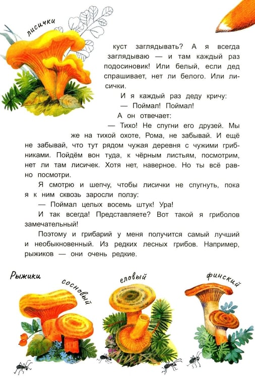 Дополнительное изображение книги «Грибной вождь»