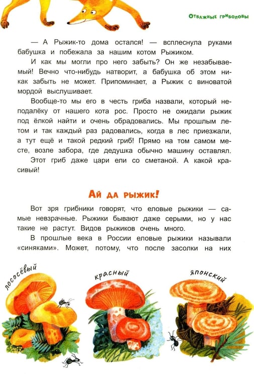 Дополнительное изображение книги «Грибной вождь»