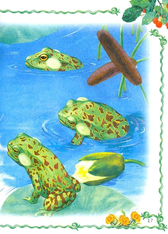 Дополнительное изображение книги «Лесные истории»
