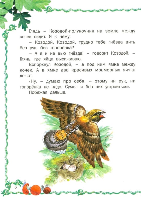 Дополнительное изображение книги «Лесные истории»