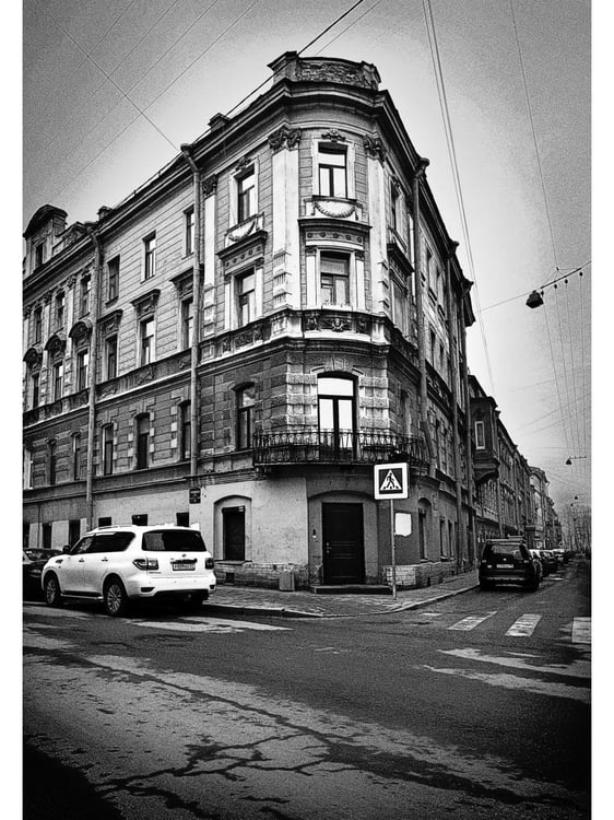 Дополнительное изображение книги «Тургенев в Петербурге»
