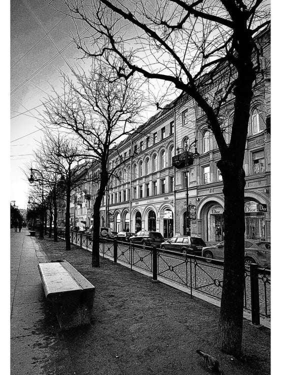 Дополнительное изображение книги «Тургенев в Петербурге»