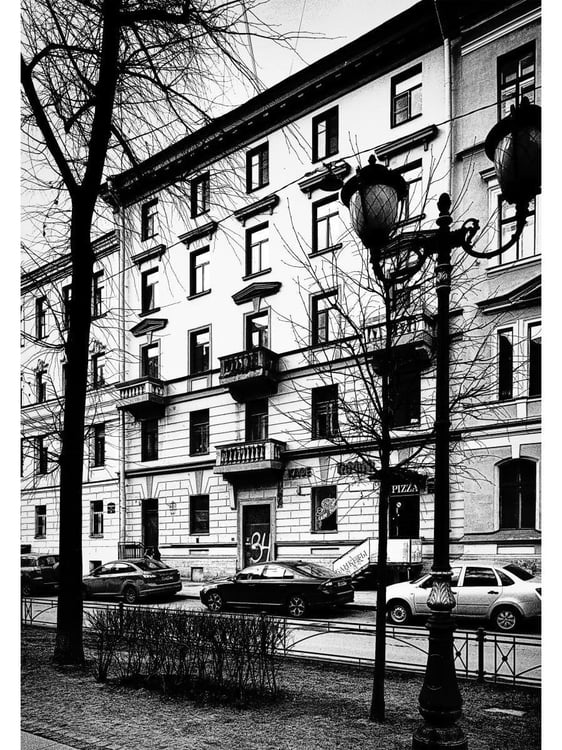 Дополнительное изображение книги «Тургенев в Петербурге»