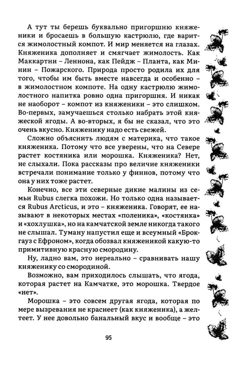 Дополнительное изображение книги «Камчатка-блюз: очерки»