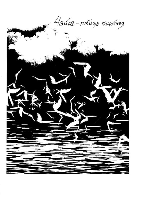 Дополнительное изображение книги «Камчатка-блюз: очерки»
