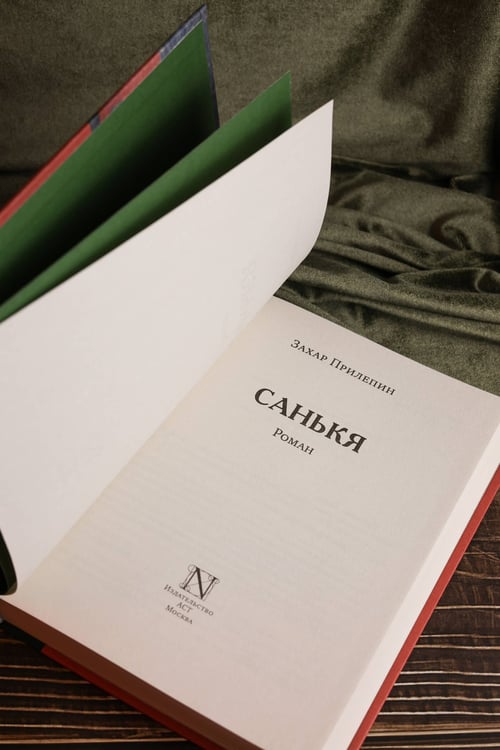 Дополнительное изображение книги «Санькя»