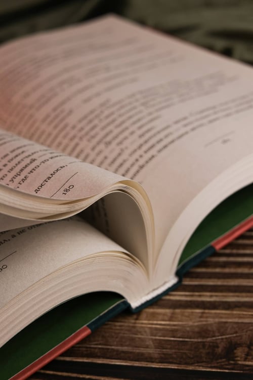 Дополнительное изображение книги «Санькя»
