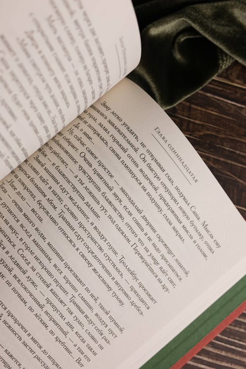 Дополнительное изображение книги «Санькя»