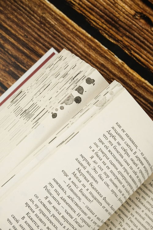 Дополнительное изображение книги «Сэндвич с пеплом и фазаном, Трижды пестрый кот мяукнул»