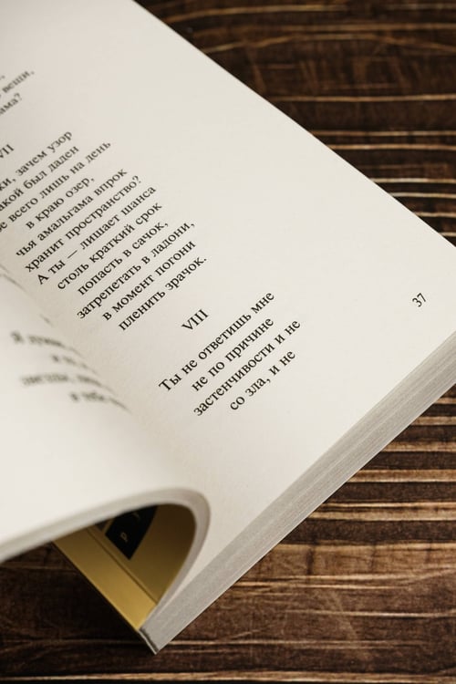 Дополнительное изображение книги «Часть речи. Новые стансы к Августе»