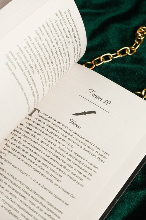 Дополнительное изображение книги «Разрушенный безумием»