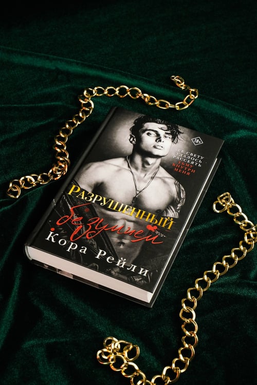 Дополнительное изображение книги «Разрушенный безумием»