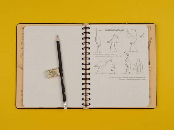 Дополнительное изображение книги «Sketchbook с уроками внутри. Визуальный экспресс-курс по рисованию (черный)»