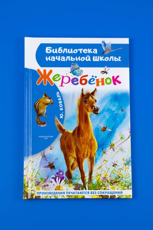 Дополнительное изображение книги «Жеребенок»