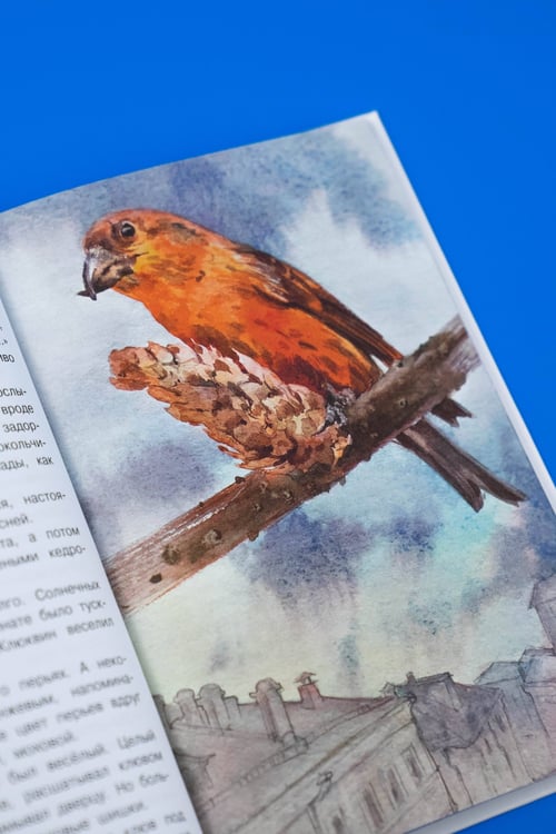 Дополнительное изображение книги «Жеребенок»