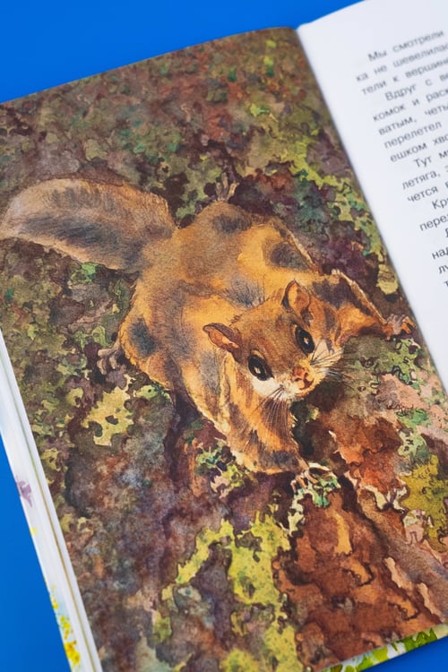 Дополнительное изображение книги «Жеребенок»