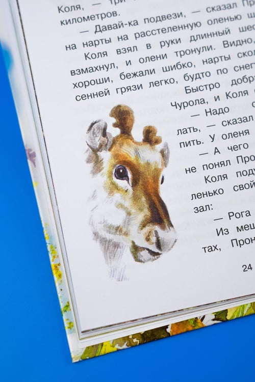 Дополнительное изображение книги «Жеребенок»