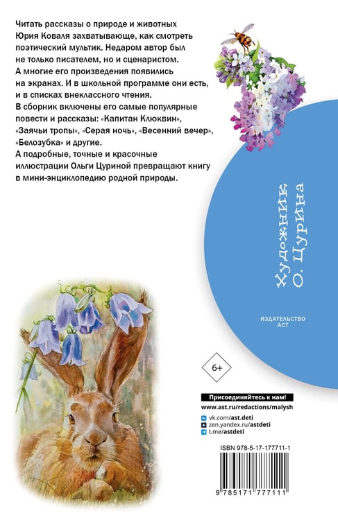 Дополнительное изображение книги «Жеребенок»