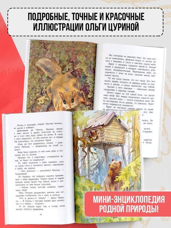 Дополнительное изображение книги «Жеребенок»