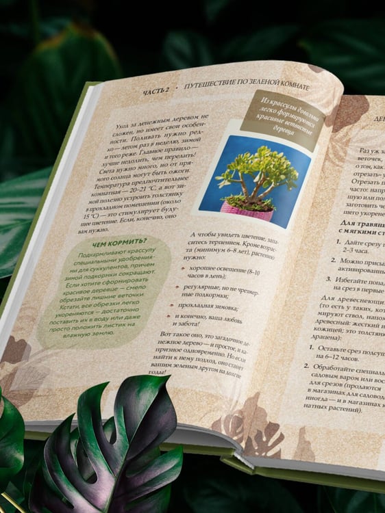 Дополнительное изображение книги «Зеленая комната. Как стать повелителем домашних джунглей»