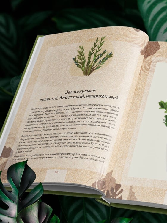 Дополнительное изображение книги «Зеленая комната. Как стать повелителем домашних джунглей»