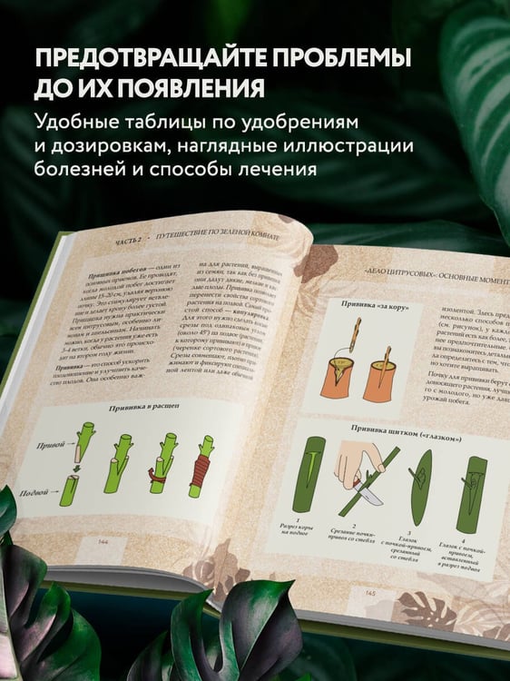 Дополнительное изображение книги «Зеленая комната. Как стать повелителем домашних джунглей»