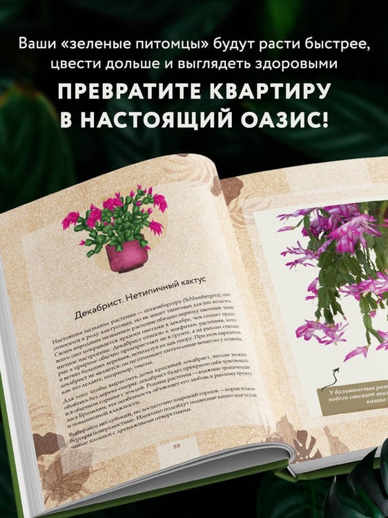 Дополнительное изображение книги «Зеленая комната. Как стать повелителем домашних джунглей»
